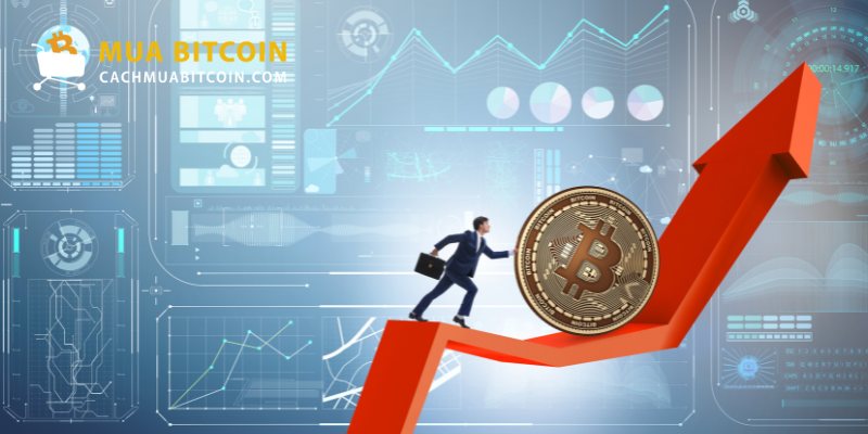 Các phương thức mua bitcoin phổ biến