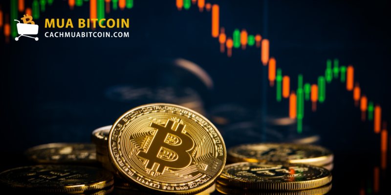 Cách mua bitcoin và tiền điện tử tại Việt Nam