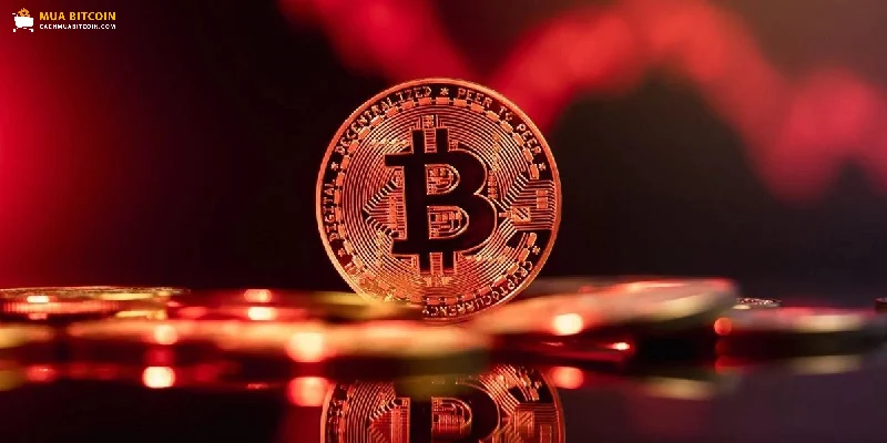 Cân nhắc đầu tư vào Bitcoin khi giá biến động