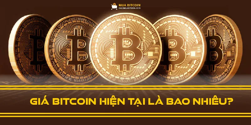 Giá Bitcoin hiện tại