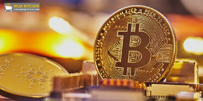 Những điều nên biết khi bắt đầu đầu tư Bitcoin