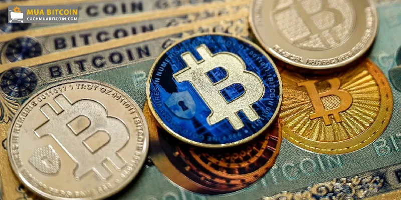 Tổng quan về đầu tư Bitcoin